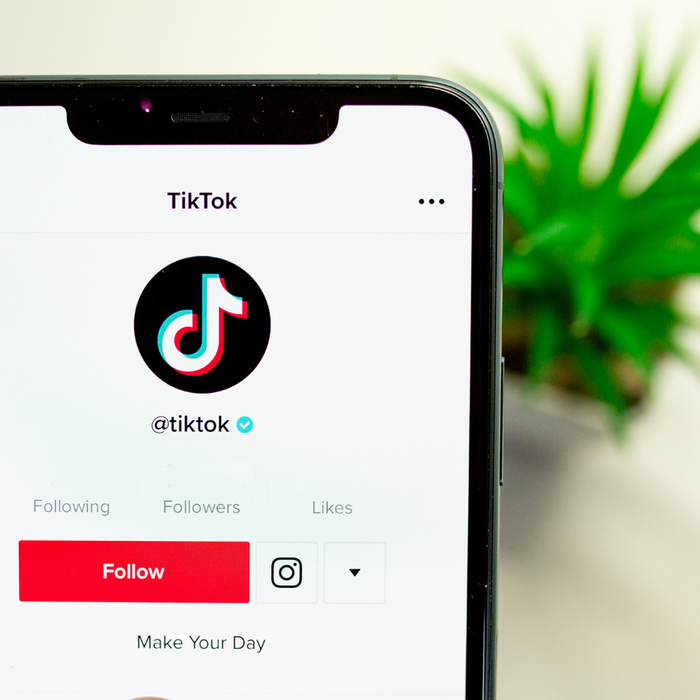 TikTok on iPhone